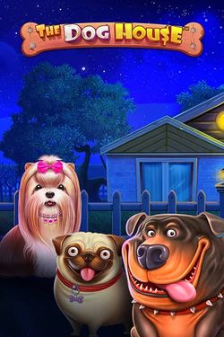 dog-house
